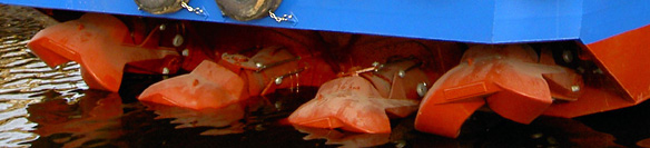 Crew Boats Designed By Greg Castleman